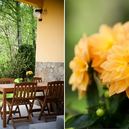 Guest house Zielone Wzgorze Goscinne Wisla