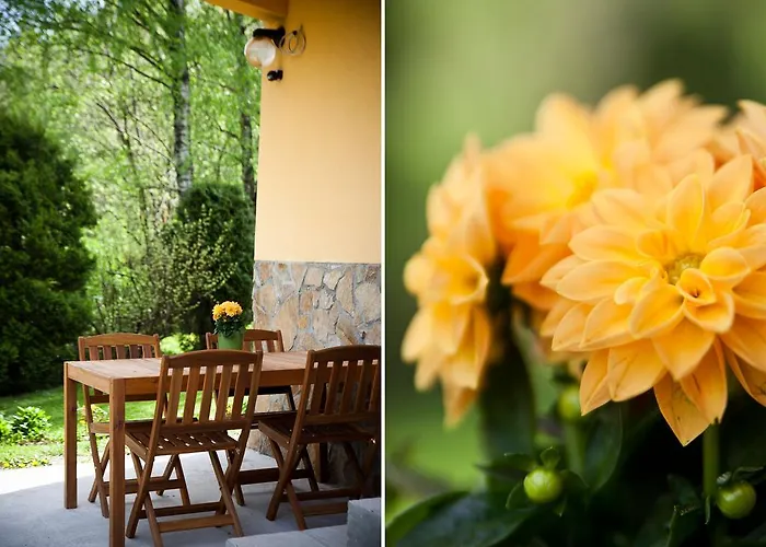 Guest house Zielone Wzgorze Goscinne Wisla